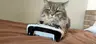 Profile picture of Melovi